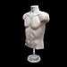 Male Mannequin Torso, Dress Form Hollow Back Body or Tshirt Display, w/Economic Plastic Stand for Counter or Hanging by EZ-Mannequins Temporal Photos or Design, Easy to Assemble and Store, S-M Sizes.
