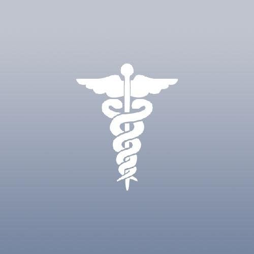 CADUCEUS SNAKE MEDICAL EMBLEM WALL DIE CUT CAR LAPTOP HOME DECOR WHITE VINYL WALL ART AUTO DECAL STICKER MACBOOK ART