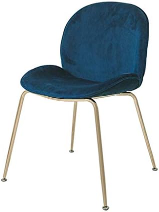 ダイニングチェア チェア ベルベット生地 スチール脚 本日限定 肉厚座面クッション 背もたれクッション 頑丈 リビングイス 53x50x81cm おしゃれイス 北欧 食卓椅子