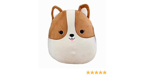 corgi squishmallow