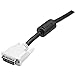 StarTech.com Dual Link DVI Cable - 3 ft - Male to Male - 2560x1600 - DVI-D Cable - Computer Monitor Cable - DVI Cord - Video Cable (DVIDDMM3)