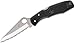 Spyderco Pacific Salt Lightweight Folding Knife - Black FRN Handle with SpyderEdge, Hollow Grind, H-1 Steel Blade and Back Lock - C91SBK