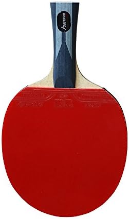 Professional Table Tennis Paddle,Carbon Fiber Blade of Long Handle Ping Pong Racket With Inverted Rubber for High Speed,Strong Spin and Easy Control ,Included Case