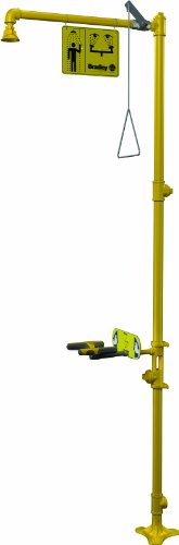 Bradley S19-310GG Galvanized Steel 3 Spray Head Combination Drench