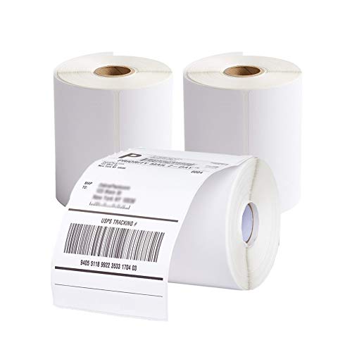 RBHK 20 Rolls 4x6 Direct Thermal Labels for Zebra Printer, 250 Blank