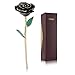ZJchao Gold Rose Love Forever Long Stem Dipped 24k Rose Foil Trim, Gifts for Her (Black)