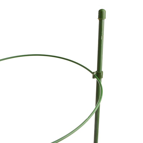 Susada Plant Support Ring, Flower Cage Ring, Vegetable Support Cage Iron Support Garden Trellis Climbing Plant Grow (45cm)