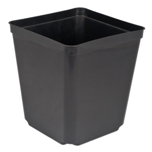 5.5" Square Nursery Pot, 2.3 quart, pack of 48