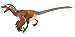 Safari Ltd. Feathered Velociraptor – Realistic Hand Painted Toy Figurine Model – Quality Construction from Phthalate, Lead and BPA Free Materials – For Ages 3 and Up