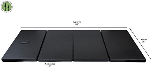 Shiatsu Mat Practitioner Thai Pad Tumbling Gym Mat With Case Black