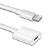 TechMatte Lightning Charging Adapter for Apple Pencil and iPad Pro Male to Female Flexible Connector (3 Feet)