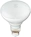 Philips 248872 Soft White 65-Watt BR30 Indoor Flood Light Bulb, 2 12-Packs (24 Bulbs)