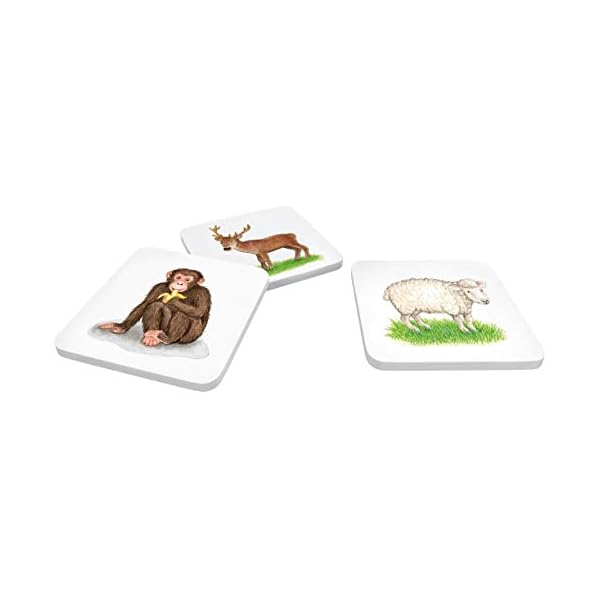 BOOKii® Mein sprechendes Memo Tiere – Bild 4