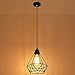 Vintage Cage Metal Lamp Shade - Motent Industrial Black Metal Bird Cage Light DIY Ceiling Pendant Lights for Dining Room Bedroom Loft Hallway