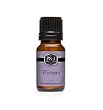 Wisteria Fragrance Oil - Premium Grade Scented Oil - 10ml