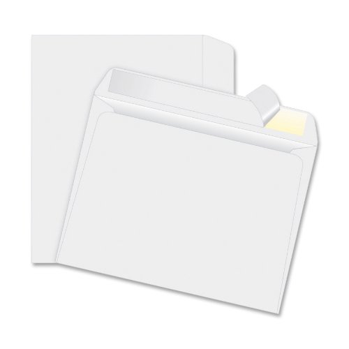 Quality Park R2860 Quality Park Tyvek Booklet Envelopes, Open Side, 9x12, White, 100/Box