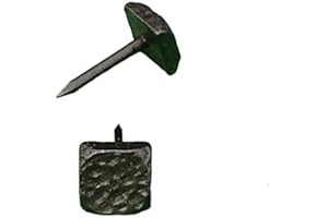 WILD WEST HARDWARE Decorative Nail Clavos, Square Clavos, Distressed, Pitted, 10 Pack (1/2")