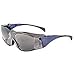UVEX by Honeywell Ambient Over-the-Glass (OTG) S3162, Blue/Grey