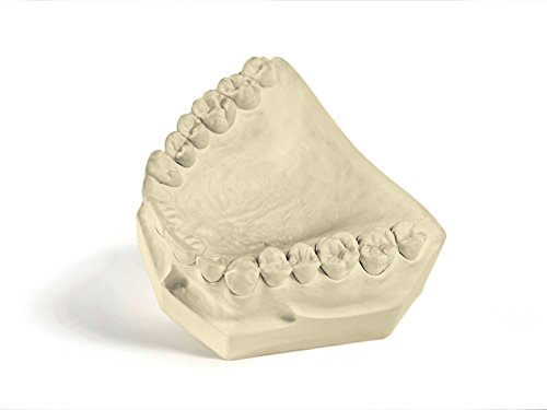 Garreco 1051025 dental labstone, type iii base stone, 25 lb carto…