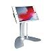 CTA Digital PAD-ASKM Dual Security Kiosk Stand with Locking Case and Cable for iPad Mini Gen. 1-5 primary