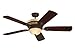 Emerson Ceiling Fans CF440VNB Braddock, Indoor Ceiling Fan With Light And Remote, 54-Inch Blades, Venetian Bronze Finish