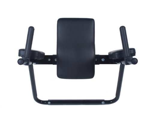 Ultimate body press wall mounted dip station with verti…