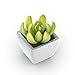 Mini Fake Succulents Artificial Plants X Large Shoe Organizer Storage Boxes for Closet, Modular Space Saving Shoe Boxes Clear Plastic Stackable Sneaker Containers Display Case with Lids, Gray