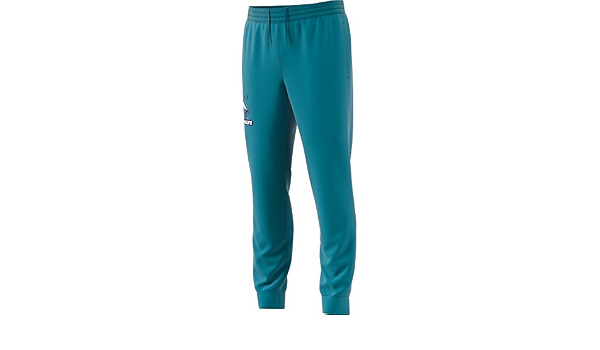 adidas Fnwr Pantalón Charlotte Hornets, Hombre, Multicolor (Nbacho), XL :  Amazon.es: Ropa