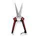 Pruning Shears, Garden Cutter Clippers, Stainless Steel Multi-Purpose Hand Pruner Scissors for Garden Harvesting Fruits Vegetables, Trimming Flowersthumb 1