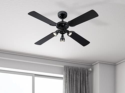 73061 Princess Euro, traditioneller 105 cm Deckenventilator mit Beleuchtung von Westinghouse Lighting, Ausführung in gebürstetem brüniertem Metall mit drei Strahlern