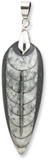 Spiritual Awareness Divine Collection Finance Black Natural Crystal Stone Kuber Abundance with Charged Reiki Energy Pendant for Men and Women