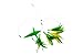 EatMyTackle Bird Feather Daisy Chain | Saltwater Fishing Teaser (Green)