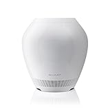 BALMUDA(バルミューダ) BALMUDA(バルミューダ) Rain ERN-1000SD