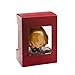 Hallmark Christmas Ornament Harry Potter Hermione Granger