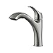 Kraus KPF-2250 Single Lever Pull-Out Kitchen Faucet, Stainless Steel