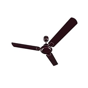 Bajaj Regal Gold NXG  Wine Red 900 mm Ceiling Fan