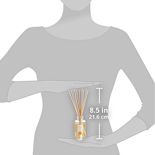 Natural Reed Diffuser Set by DANI Naturals - Fresh Grapefruit Ginger Fragrance - Aromatherapy Essentials Oils - Alcohol Free - 10 Diffuser Sticks - 3.5 Ounce Glass Bottle - Thumbnail 7