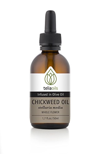 Chickweed (Stellaria Media) Infused/Macerated Oil, 1.7 Oz – 50 Ml/an Excellent Emollient- A Topical Remedy