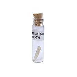 TG,LLC Treasure Gurus Genuine Alligator Tooth in a