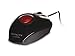 Creative Labs Fatal1ty 1010 Gaming Mouse