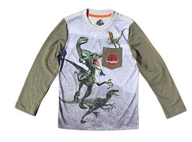 Jurassic World Little Boys Long Sleeve T Shirt (4/5)