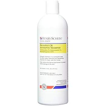 antifungal dog shampoo uk