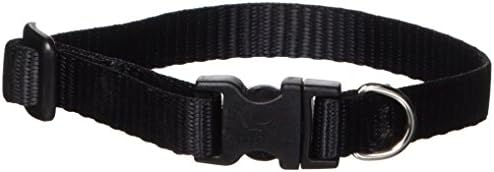 lupine collars petco