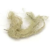 USNEA LICHEN WHOLE WC 4 OZ