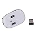 Portable Perman Cute Mini 2.4GHz Wireless 3 Buttons Optical Mouse Mice with USB Receiver for Computer PC Laptop Notebook Blue
