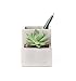 Kikkerland Concrete Desktop Planter, Small (PL02-S)