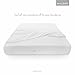 MALOUF HD Lab Certified Mattress encasement Protector-100% Waterproof-Vinyl Free-Twin, White