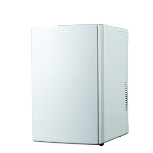 SL&BX Car refrigerator,Small home hostel portable mini fridge rental room refrigeration compressor refrigerator for bedroom,Office or dorm-White 35.5x22x19.5cm(14x9x8inch)