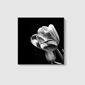 Framed Canvas Home Artwork Decoration Beautiful Flower Canvas Wall Art for Living Room, Bedroom - 16x16 inches