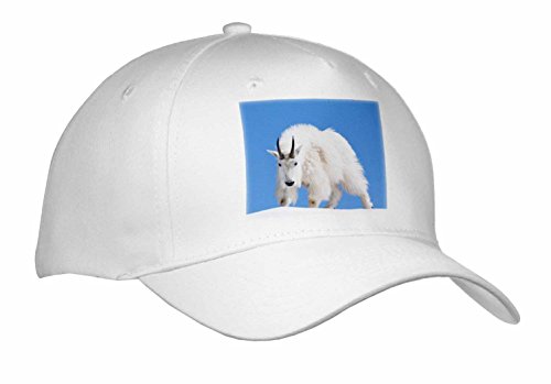 Danita Delimont - Mountain Goat - Washington State, Alpine Lakes Wilderness, Mountain goat, male - Caps - Adult Baseball Cap (cap_251546_1)